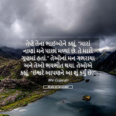 Picture 05 - ઉત્પત્તિ 42:28 GUJIRV - તેણે તેના ભાઈઓને - Bible Verse Picture