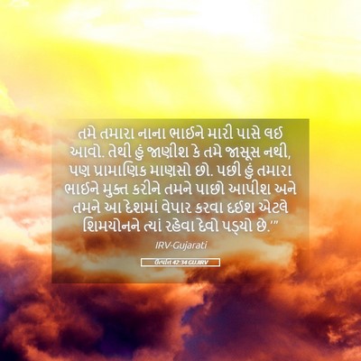 Picture 05 - ઉત્પત્તિ 42:34 GUJIRV - તમે તમારા નાના - Bible Verse Picture