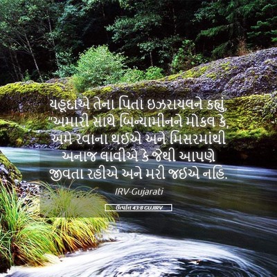 Picture 05 - ઉત્પત્તિ 43:8 GUJIRV - યહૂદાએ તેના પિતા - Bible Verse Picture