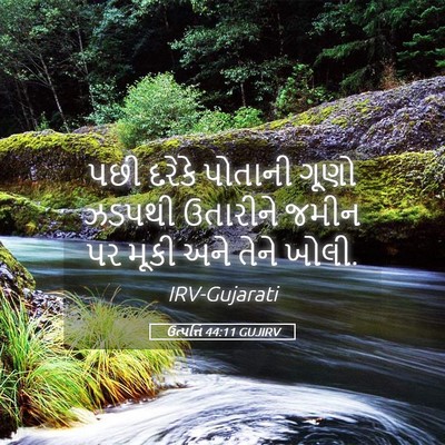 Picture 05 - ઉત્પત્તિ 44:11 GUJIRV - પછી દરેકે પોતાની - Bible Verse Picture