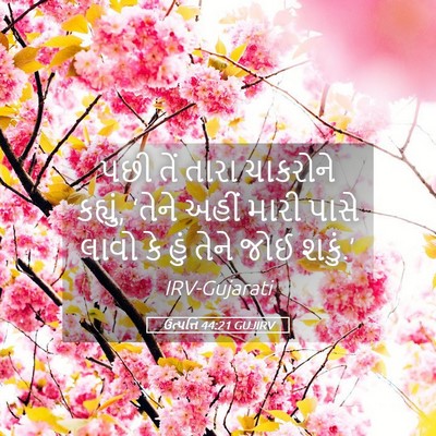 Picture 05 - ઉત્પત્તિ 44:21 GUJIRV - પછી તેં તારા - Bible Verse Picture