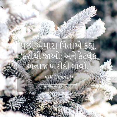Picture 05 - ઉત્પત્તિ 44:25 GUJIRV - પછી અમારા પિતાએ - Bible Verse Picture