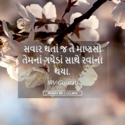 Picture 05 - ઉત્પત્તિ 44:3 GUJIRV - સવાર થતાં જ તે - Bible Verse Picture