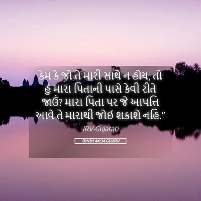 Picture 05 - ઉત્પત્તિ 44:34 GUJIRV - કેમ કે જો તે મારી - Bible Verse Picture