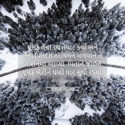 Picture 05 - ઉત્પત્તિ 46:29 GUJIRV - યૂસફે તેના રથ - Bible Verse Picture