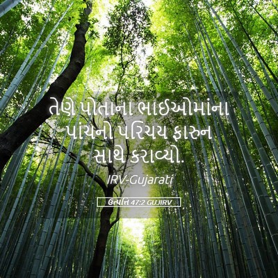 Picture 05 - ઉત્પત્તિ 47:2 GUJIRV - તેણે પોતાના - Bible Verse Picture