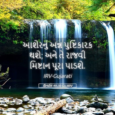 Picture 05 - ઉત્પત્તિ 49:20 GUJIRV - આશેરનું અન્ન - Bible Verse Picture