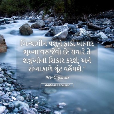 Picture 05 - ઉત્પત્તિ 49:27 GUJIRV - બિન્યામીન પશુને - Bible Verse Picture