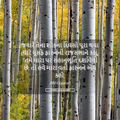 Picture 05 - ઉત્પત્તિ 50:4 GUJIRV - જયારે તેના શોકના - Bible Verse Picture