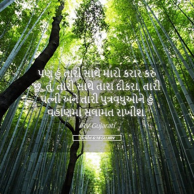Picture 05 - ઉત્પત્તિ 6:18 GUJIRV - પણ હું તારી સાથે - Bible Verse Picture