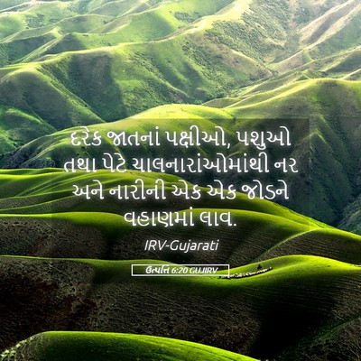 Picture 05 - ઉત્પત્તિ 6:20 GUJIRV - દરેક જાતનાં - Bible Verse Picture