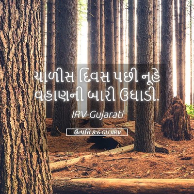 Picture 05 - ઉત્પત્તિ 8:6 GUJIRV - ચાળીસ દિવસ પછી - Bible Verse Picture