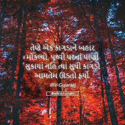 Picture 05 - ઉત્પત્તિ 8:7 GUJIRV - તેણે એક કાગડાને - Bible Verse Picture