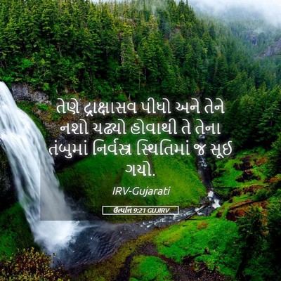 Picture 05 - ઉત્પત્તિ 9:21 GUJIRV - તેણે દ્રાક્ષાસવ - Bible Verse Picture