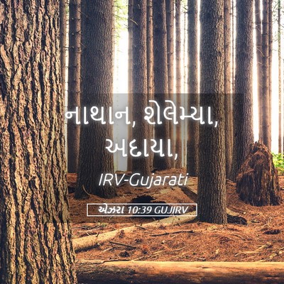 Picture 05 - એઝરા 10:39 GUJIRV - નાથાન, શેલેમ્યા, - Bible Verse Picture