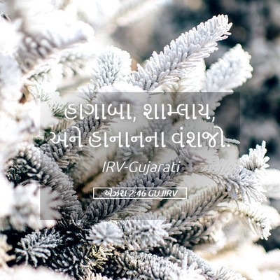 Picture 05 - એઝરા 2:46 GUJIRV - હાગાબા, શામ્લાય, - Bible Verse Picture