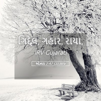 Picture 05 - એઝરા 2:47 GUJIRV - ગિદ્દેલ, ગહાર, - Bible Verse Picture