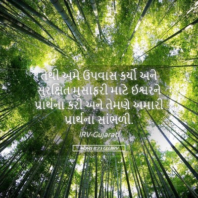 Picture 05 - એઝરા 8:23 GUJIRV - તેથી અમે ઉપવાસ - Bible Verse Picture