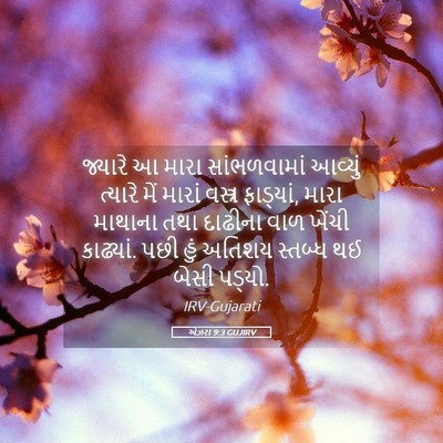 Picture 05 - એઝરા 9:3 GUJIRV - જ્યારે આ મારા - Bible Verse Picture