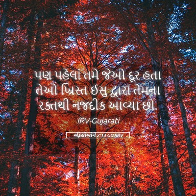 Picture 05 - એફેસીઓને 2:13 GUJIRV - પણ પહેલાં તમે જેઓ - Bible Verse Picture