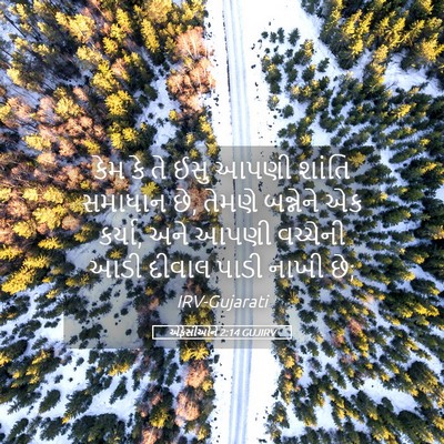 Picture 05 - એફેસીઓને 2:14 GUJIRV - કેમ કે તે ઈસુ આપણી - Bible Verse Picture