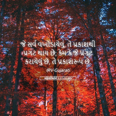 Picture 05 - એફેસીઓને 5:13 GUJIRV - જે સર્વ - Bible Verse Picture