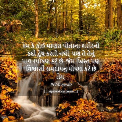 Picture 05 - એફેસીઓને 5:29 GUJIRV - કેમ કે કોઈ માણસ - Bible Verse Picture