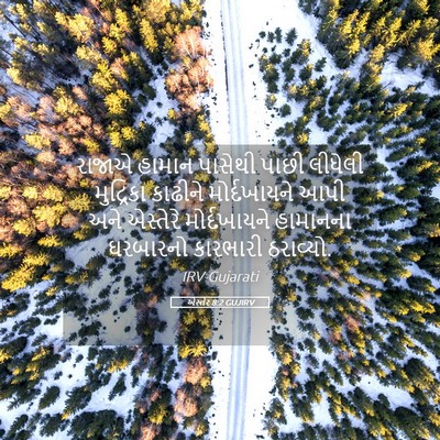 Picture 05 - એસ્તેર 8:2 GUJIRV - રાજાએ હામાન - Bible Verse Picture