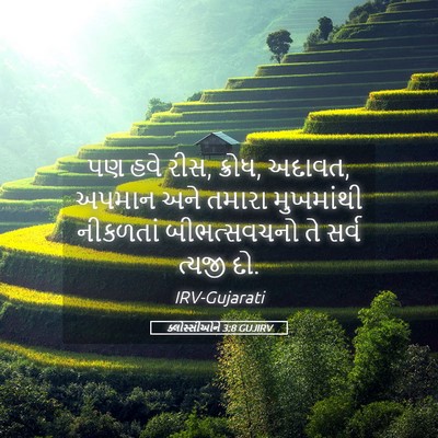 Picture 05 - ક્લોસ્સીઓને 3:8 GUJIRV - પણ હવે રીસ, ક્રોધ, - Bible Verse Picture