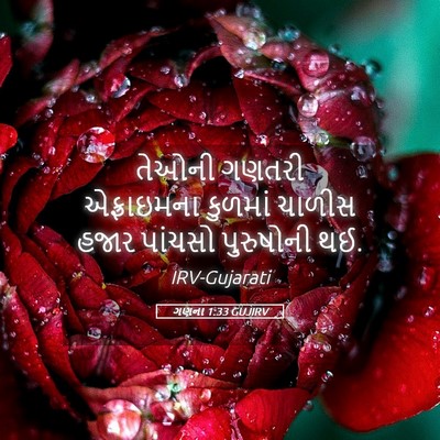 Picture 05 - ગણના 1:33 GUJIRV - તેઓની ગણતરી - Bible Verse Picture