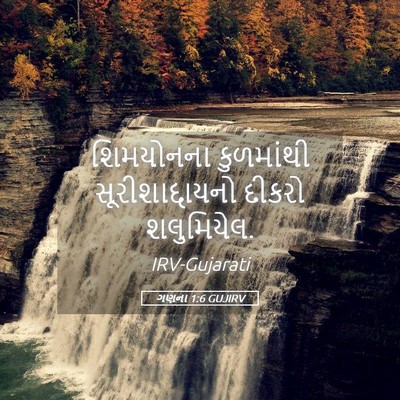 Picture 05 - ગણના 1:6 GUJIRV - શિમયોનના કુળમાંથી - Bible Verse Picture