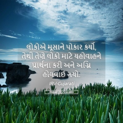 Picture 05 - ગણના 11:2 GUJIRV - લોકોએ મૂસાને - Bible Verse Picture