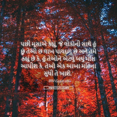 Picture 05 - ગણના 11:21 GUJIRV - પછી મૂસાએ કહ્યું, - Bible Verse Picture