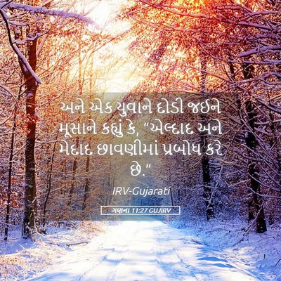 Picture 05 - ગણના 11:27 GUJIRV - અને એક યુવાને દોડી - Bible Verse Picture