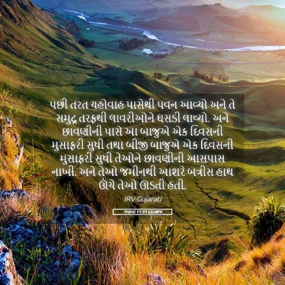 Picture 05 - ગણના 11:31 GUJIRV - પછી તરત યહોવાહ - Bible Verse Picture