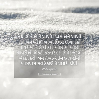 Picture 05 - ગણના 11:32 GUJIRV - તેથી લોકોએ તે આખો - Bible Verse Picture