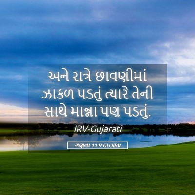 Picture 05 - ગણના 11:9 GUJIRV - અને રાત્રે - Bible Verse Picture