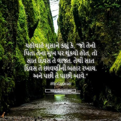 Picture 05 - ગણના 12:14 GUJIRV - યહોવાહે મૂસાને - Bible Verse Picture