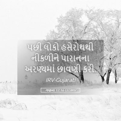Picture 05 - ગણના 12:16 GUJIRV - પછી લોકો હસેરોથથી - Bible Verse Picture