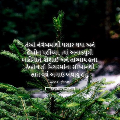 Picture 05 - ગણના 13:22 GUJIRV - તેઓ નેગેબમાંથી - Bible Verse Picture