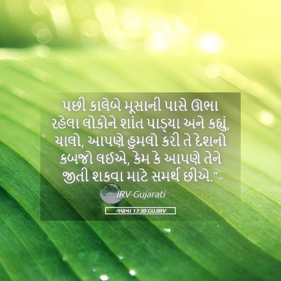Picture 05 - ગણના 13:30 GUJIRV - પછી કાલેબે મૂસાની - Bible Verse Picture
