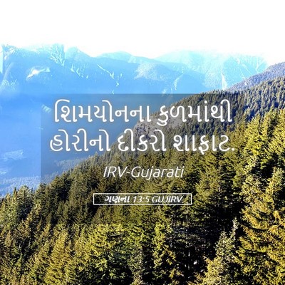 Picture 05 - ગણના 13:5 GUJIRV - શિમયોનના કુળમાંથી - Bible Verse Picture