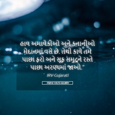 Picture 05 - ગણના 14:25 GUJIRV - હાલ અમાલેકીઓ અને - Bible Verse Picture