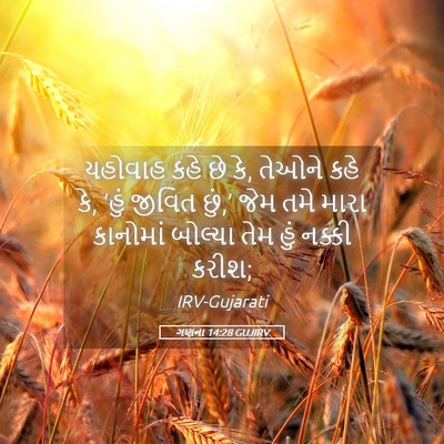 Picture 05 - ગણના 14:28 GUJIRV - યહોવાહ કહે છે કે, - Bible Verse Picture