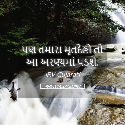 Picture 05 - ગણના 14:32 GUJIRV - પણ તમારા મૃતદેહો - Bible Verse Picture