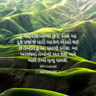 Picture 05 - ગણના 14:35 GUJIRV - હું યહોવાહ બોલ્યો - Bible Verse Picture