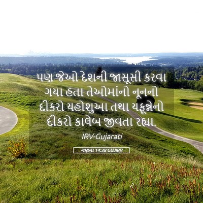 Picture 05 - ગણના 14:38 GUJIRV - પણ જેઓ દેશની - Bible Verse Picture