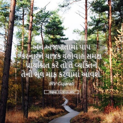 Picture 05 - ગણના 15:28 GUJIRV - અને અજાણતામાં પાપ - Bible Verse Picture