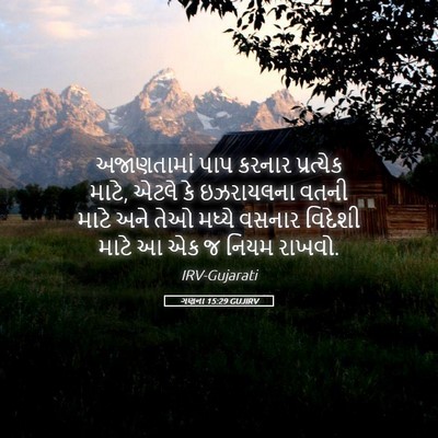 Picture 05 - ગણના 15:29 GUJIRV - અજાણતામાં પાપ - Bible Verse Picture