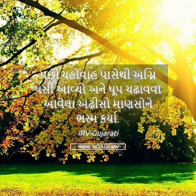 Picture 05 - ગણના 16:35 GUJIRV - પછી યહોવાહ પાસેથી - Bible Verse Picture